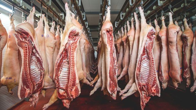 Fraude veterinario y falta de saneamiento