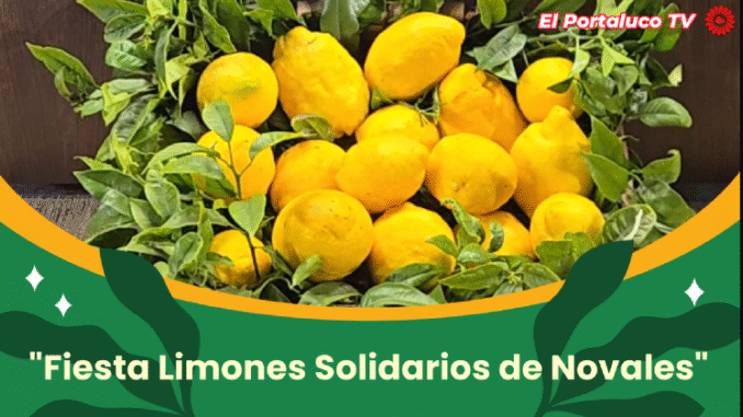 El sábado día 9 se celebra el día grande de la XIV Fiesta de los Limones Solidarios en Novales (Alfóz de Lloredo)